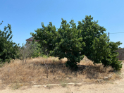 Satılır 17 sot torpaq Mərdəkan