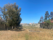 Satılır 10 sot torpaq Mərdəkan