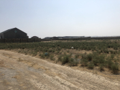 Satılır 18 sot torpaq Y.Suraxanı