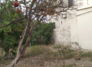 Satılır 7 sot torpaq Əhmədli