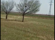 Satılır 66.5 sot torpaq Samux