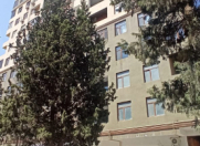 Satılır 2 otaqlı 53 m2 yeni tikili 8 mkr