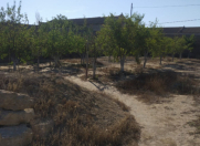 Satılır 3 otaqlı 50 m2 bağ evi Xəzər r.