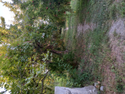 Satılır 2 otaqlı 31 m2 köhnə tikili Ağdaş