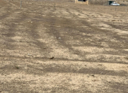 Satılır 6 sot torpaq Ceyranbatan