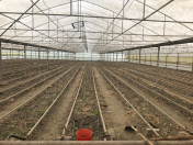 Satılır 7 otaqlı 51000 m2 obyekt Şabran