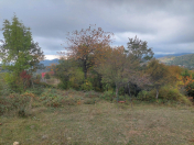 Satılır 12 sot torpaq Şamaxı