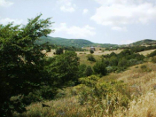 Satılır 100 sot torpaq Xızı