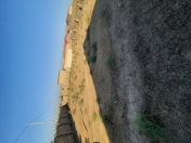 Satılır 6 sot torpaq Hökməli