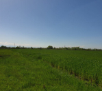 Satılır 30 sot torpaq Türkan