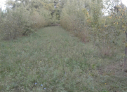 Satılır 35 sot torpaq Oğuz