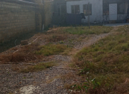 Satılır 2 otaqlı 80 m2 həyət evi Biləcəri