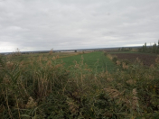 Satılır 750 sot torpaq Şabran