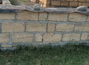 Satılır 5 sot torpaq Qəbələ