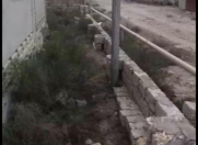 Satılır 5 sot torpaq Dübəndi bağları