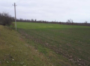 Satılır 2700 sot torpaq Quba