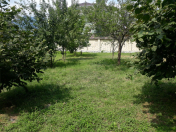 Satılır 8 sot torpaq Qəbələ