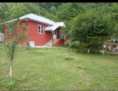 İcarəyə verilir 3 otaqlı 100 m2 həyət evi Qəbələ