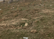 Satılır 6 sot torpaq Xocəsən