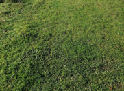 Satılır 6 sot torpaq Quba