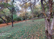 Satılır 5 sot torpaq Quba