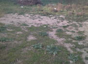 Satılır 4 sot torpaq Mehdiabad