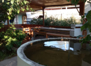 Satılır 2 otaqlı 50 m2 bağ evi Sumqayıt