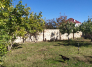 Satılır 5 sot torpaq Saray