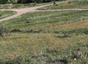 Satılır 6 sot torpaq Xızı