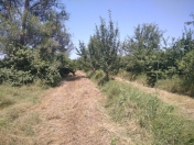 Satılır 62 sot torpaq Xaçmaz