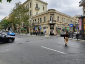 Satılır 2 otaqlı 128 m2 köhnə tikili Sahil m.