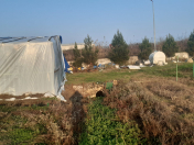 Satılır 250 sot torpaq Lənkəran