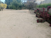 Satılır 54 sot torpaq Bilgəh