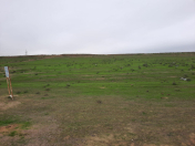 Satılır 100 sot torpaq Masazır