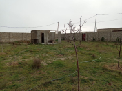 Satılır 15 sot torpaq Binə