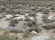 Satılır 38 sot torpaq Binə