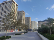 Satılır 3 otaqlı 163 m2 yeni tikili Ağ şəhər