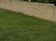 Satılır 8 sot torpaq Xızı