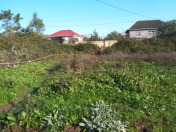 Satılır 2 sot torpaq Lənkəran