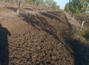 Satılır 100 sot torpaq Xaçmaz