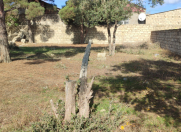 Satılır 4.2 sot torpaq Abşeron r.