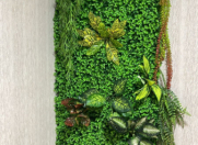 İcarəyə verilir 1 otaqlı 25 m2 köhnə tikili Nəriman Nərimanov m.