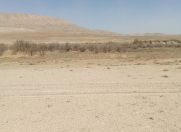 Satılır 50000 sot torpaq Qobustan