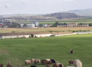 Satılır 400 sot torpaq Qobustan