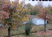 Satılır 2 otaqlı 56 m2 həyət evi Ağdaş