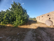 Satılır 6 otaqlı 280 m2 bağ evi Ləhic Bağları