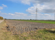 Satılır 400 sot torpaq Yevlax