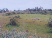 Satılır 12 sot torpaq Lənkəran