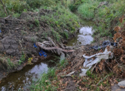 Satılır 100 sot torpaq Xaçmaz