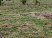 Satılır 21 sot torpaq Dübəndi bağları